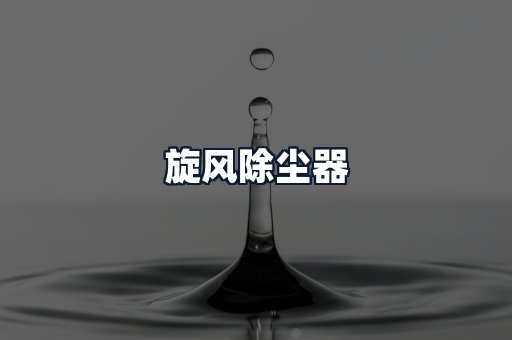 旋风除尘器